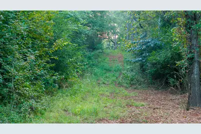 Tbd C R 354, Winona, TX 75792 - Photo 13