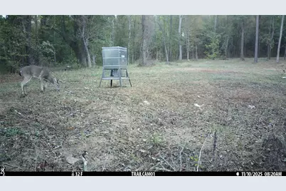 Tbd C R 354, Winona, TX 75792 - Photo 39