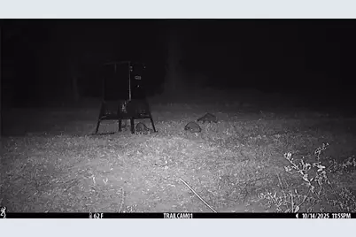 Tbd C R 354, Winona, TX 75792 - Photo 31