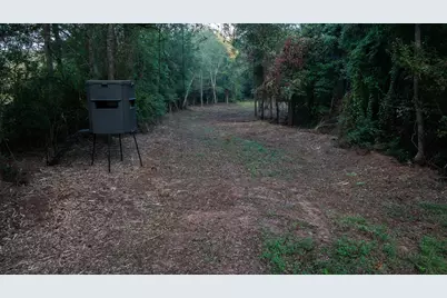 Tbd C R 354, Winona, TX 75792 - Photo 11