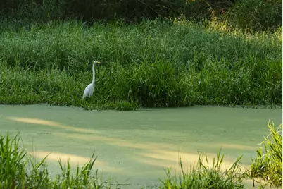 Tbd C R 354, Winona, TX 75792 - Photo 15