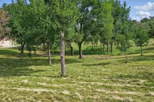 1417 Evening Primrose Dr, Graford, TX 76449 - Photo 1