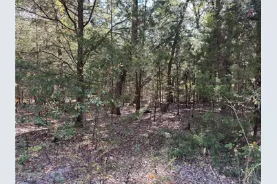 145 Kiowa Drive, Mabank, TX 75156 - Photo 7