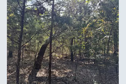 145 Kiowa Drive, Mabank, TX 75156 - Photo 9