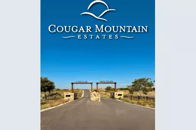 2812 Lucky Pepper Drive, Cresson, TX 76035 - Photo 3