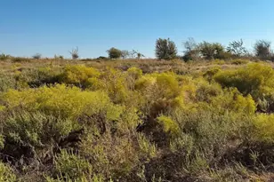 2812 Lucky Pepper Dr, Cresson, TX 76035 - Photo 1