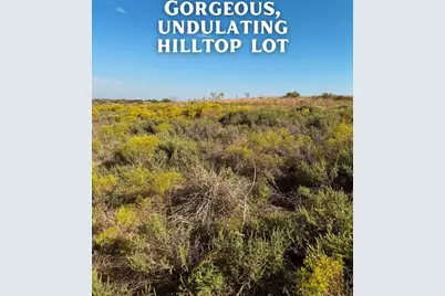 2812 Lucky Pepper Drive, Cresson, TX 76035 - Photo 5