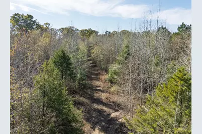 00 Mistletoe Road, Gilmer, TX 75644 - Photo 11