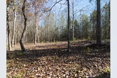 00 Mistletoe Road, Gilmer, TX 75644 - Photo 9