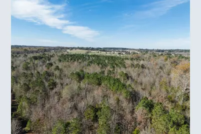 00 Mistletoe Road, Gilmer, TX 75644 - Photo 5