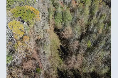 00 Mistletoe Road, Gilmer, TX 75644 - Photo 19