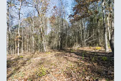 00 Mistletoe Road, Gilmer, TX 75644 - Photo 15