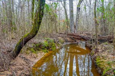 00 Mistletoe Road, Gilmer, TX 75644 - Photo 13