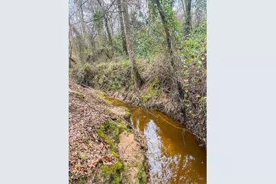 00 Mistletoe Road, Gilmer, TX 75644 - Photo 21