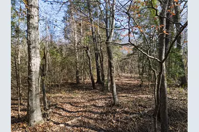 00 Mistletoe Road, Gilmer, TX 75644 - Photo 33