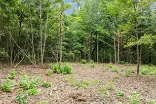 00 Mistletoe Rd, Gilmer, TX 75644 - Photo 1