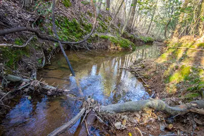 00 Mistletoe Road, Gilmer, TX 75644 - Photo 23