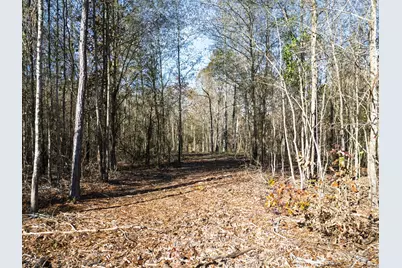 00 Mistletoe Road, Gilmer, TX 75644 - Photo 17