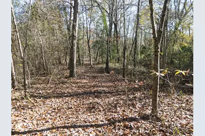 00 Mistletoe Road, Gilmer, TX 75644 - Photo 31