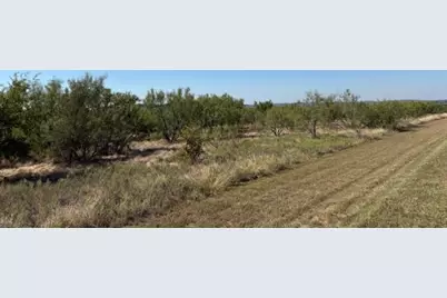 Lot 422 Fire Wheel Drive, Possum Kingdom Lake, TX 76449 - Photo 5