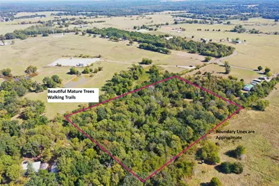 Tbd County Road 520, Fairfield, TX 75840 - Photo 3
