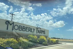 14157 Danesdale Dr, Pilot Point, TX 76258 - Photo 17