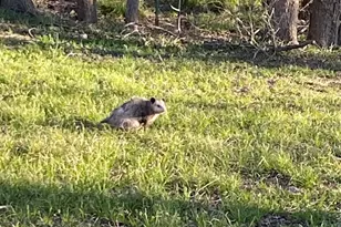 3836 Rs County Rd 1605, Lone Oak, TX 75453 - Photo 21