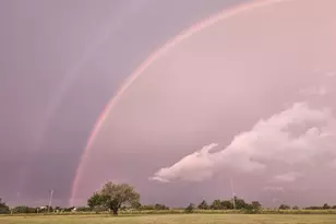 2611 Zachary Dr, Blue Ridge, TX 75424 - Photo 21