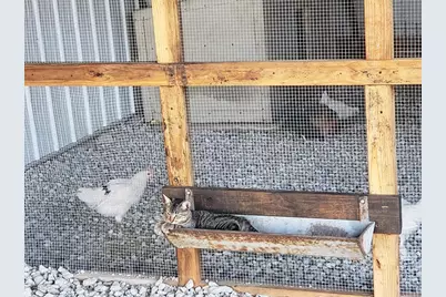 2611 Zachary Drive, Blue Ridge, TX 75424 - Photo 35