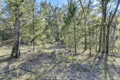 0 Fm 3396, Kemp, TX 75143 - Photo 3