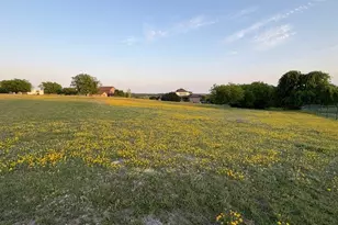 217 Pebble Ridge Ct, Cresson, TX 76035 - Photo 1