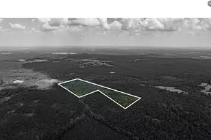 Tbd County Road 1582, Avinger, TX 75630 - Photo 9