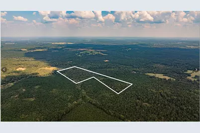 Tbd County Road 1582, Avinger, TX 75630 - Photo 1