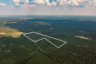 Tbd County Road 1582, Avinger, TX 75630 - Photo 1