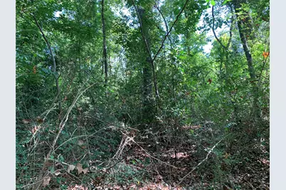 516 Chase Street, Athens, TX 75751 - Photo 9