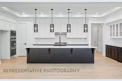 929 Mumms Field Drive, Fort Worth, TX 76247 - Photo 3