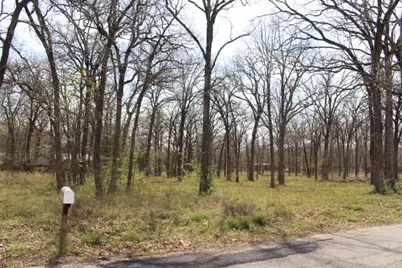 0 Arbolado Boulevard, Gun Barrel City, TX 75156 - Photo 3