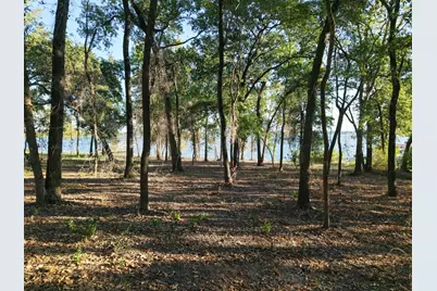 367 Pr 5826, Groesbeck, TX 76667 - Photo 3