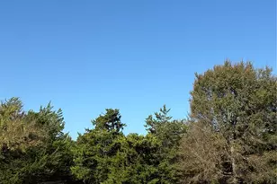 130 Private Road 5793b, Groesbeck, TX 76642 - Photo 29