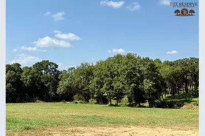 Lot 42 Colt Road, Springtown, TX 76082 - Photo 1
