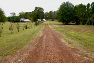 237 Co Rd 2937, Hughes Springs, TX 75656 - Photo 13