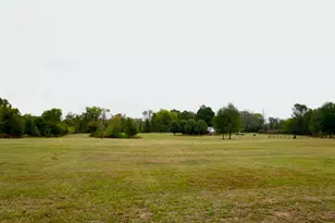 237 Co Rd 2937, Hughes Springs, TX 75656 - Photo 11