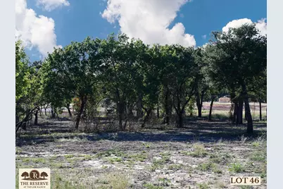 Lot 46 Colt Road, Springtown, TX 76082 - Photo 3