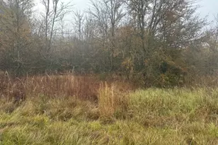 527 Tahiti Ln, Tool, TX 75143 - Photo 1