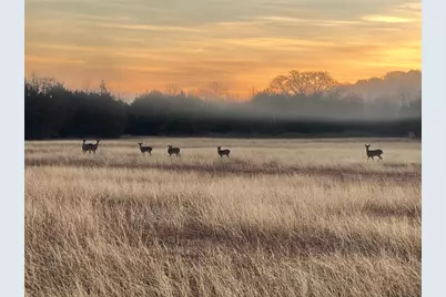 4658 County Road 163, Stephenville, TX 76401 - Photo 33