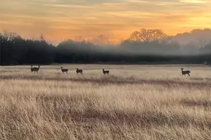 4658 Co Rd 163, Stephenville, TX 76401 - Photo 33