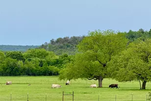 4658 Co Rd 163, Stephenville, TX 76401 - Photo 33