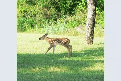 4536 County Road 132, Stephenville, TX 76401 - Photo 29