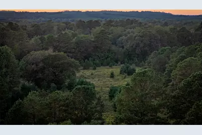 00 Farm To Market Road 23, Rusk, TX 75785 - Photo 5