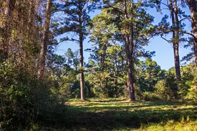 00 Farm To Market Road 23, Rusk, TX 75785 - Photo 15